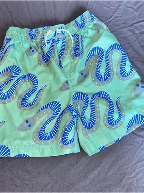 Tea Collection Mint Green & Blue Snake Print Swim Trunks